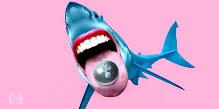 Milyonlarca XRP Hareket Ediyor: Ripple SEC Davası ile İlgili Olabilir