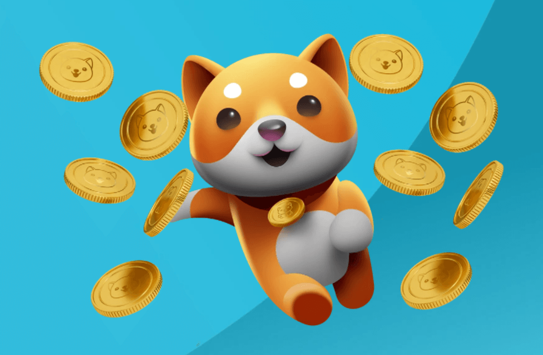 Baby Doge Coin Rekor Kırdı: Shiba Inu (SHIB) Geride Kaldı&nbsp;