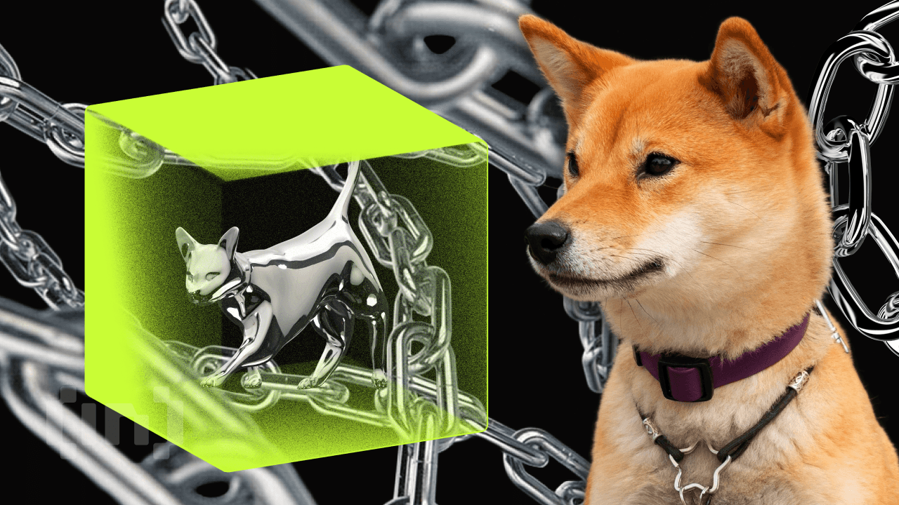 Shiba Inu (SHIB) Çözümü Shibarium, İşlem Sayısında Rekor Kırdı