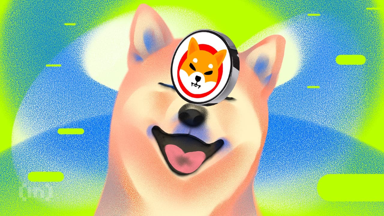 Shiba Inu (SHIB) Fiyat Düzeltmesine Devam Ediyor &#8211; Sırada Ne Var?