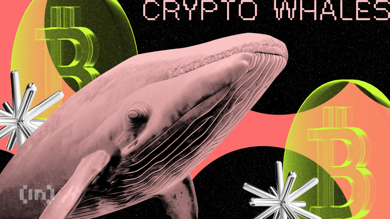 The White Whale ve MEXC ile Röportaj: 3 Milyon Dolar Dondurulan Fonların Gerçeği