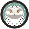 Snowy Owl