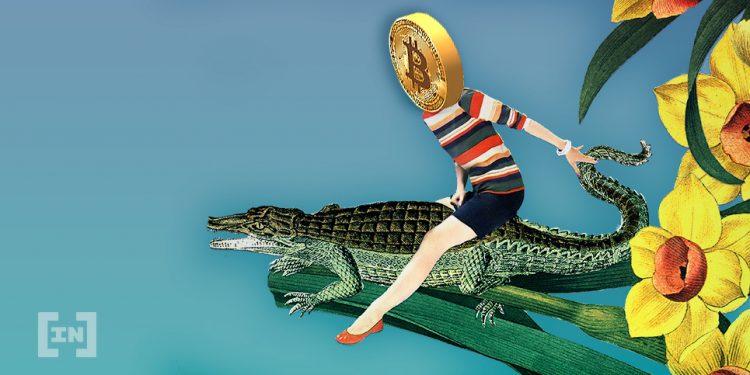 BTC Dominance