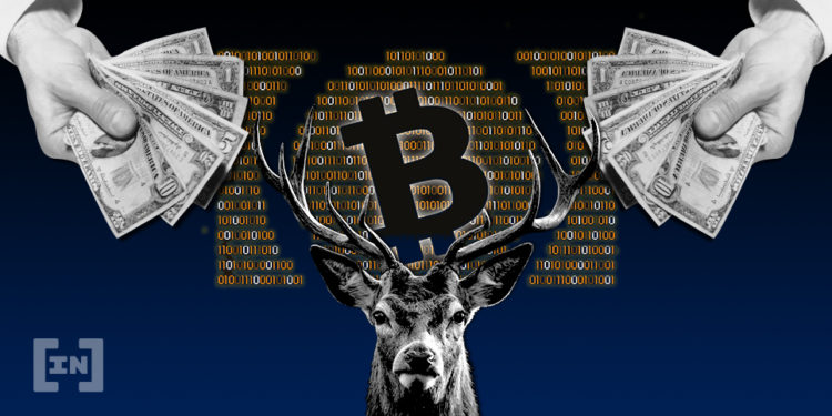 kripto para