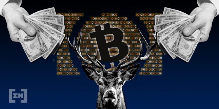 kripto para