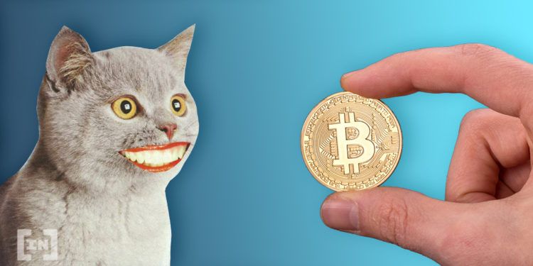 Kripto Para Piyasası Düşüşte: Bitcoin ve Holo (HOT Coin) için Tehlikeli Viraj