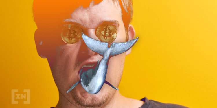 bitcoin balina kripto para