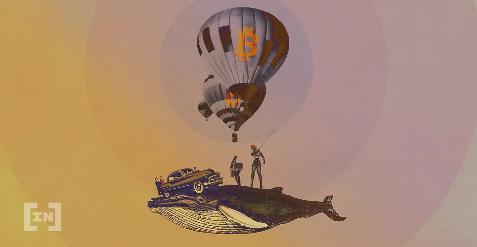 bitcoin balina