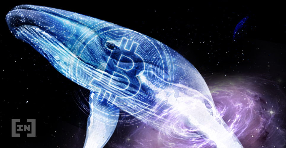 Bitcoin Balinaları
