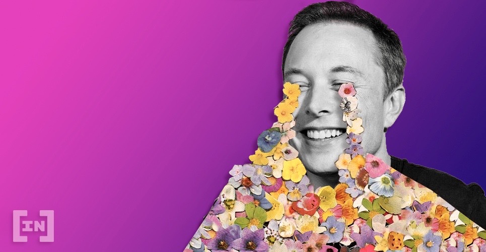 Bitcoin Altcoin Elon Musk