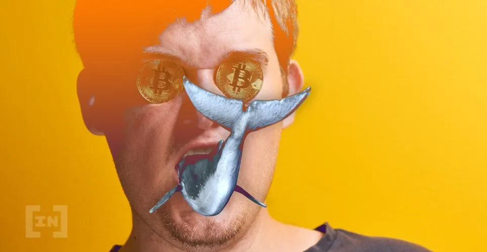 bitcoin balinası