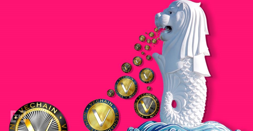 VeChain Amazon ile Ortak Oldu, VET Fiyatı Fırladı