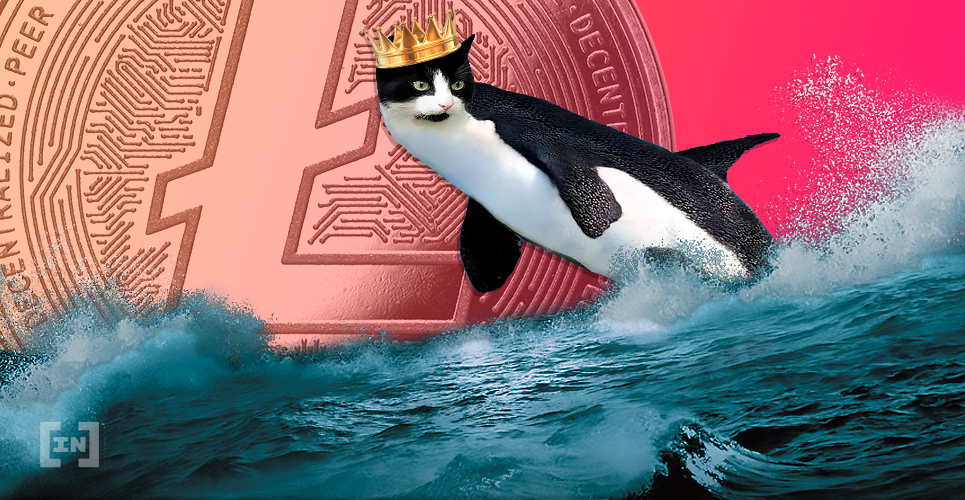 Litecoin LTC altcoin