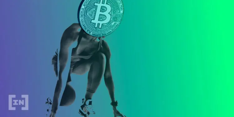 bitcoin dominance