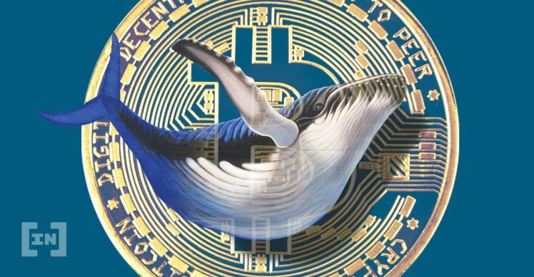 Bir Bitcoin Balinası Her Gün 25 Adet BTC Alıyor