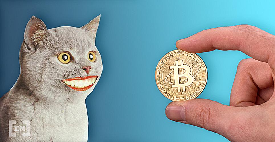 bitcoin btc kripto para