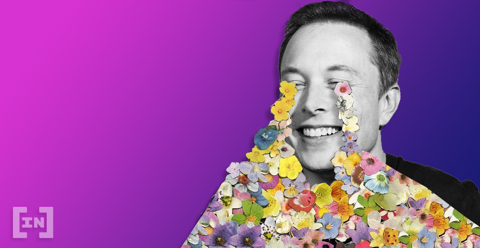 elon musk bitcoin