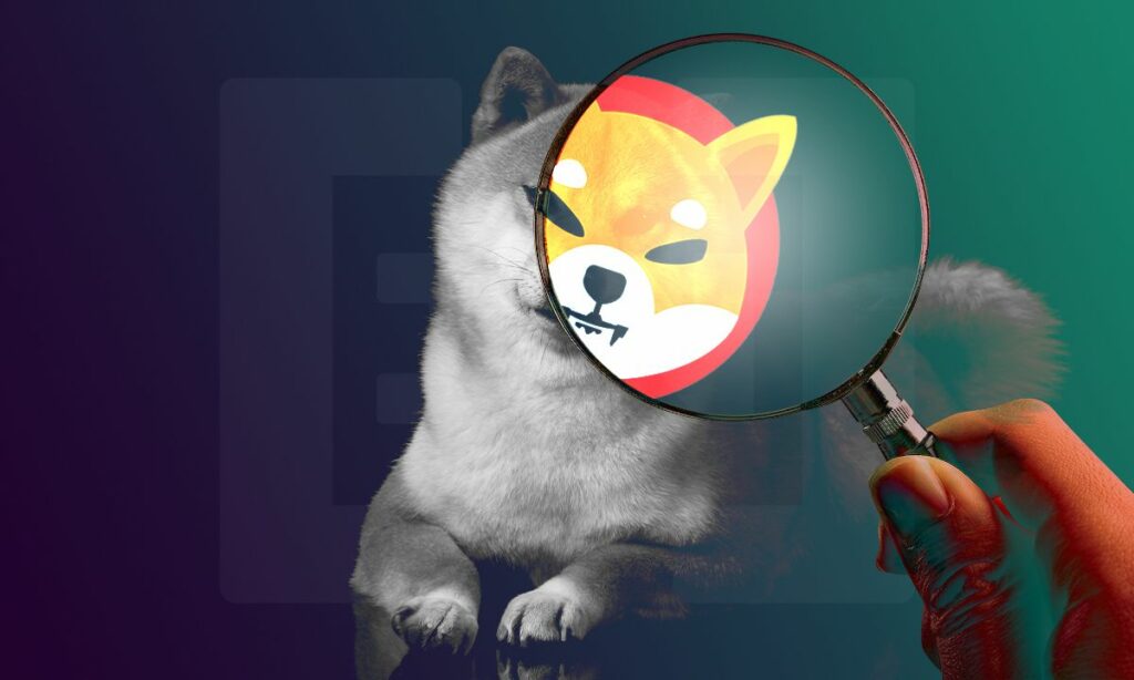 Shiba Inu meme token memetoken shiba coin kripto para