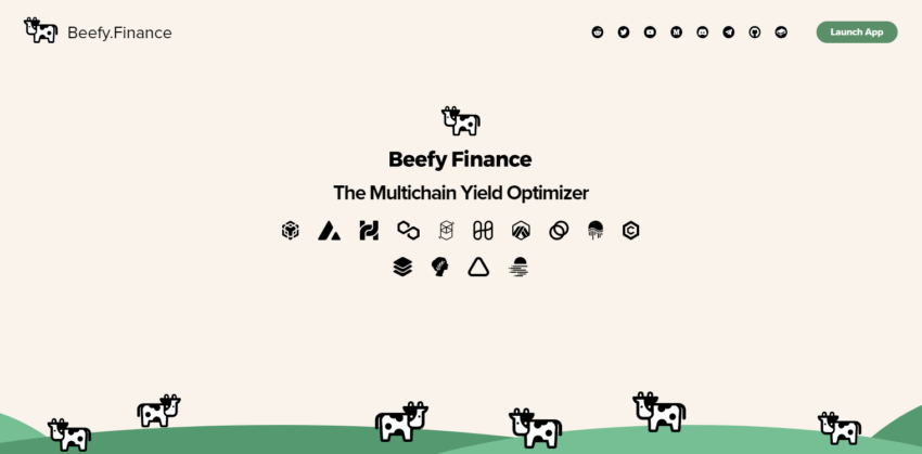 beefy finance nasıl kullanılır