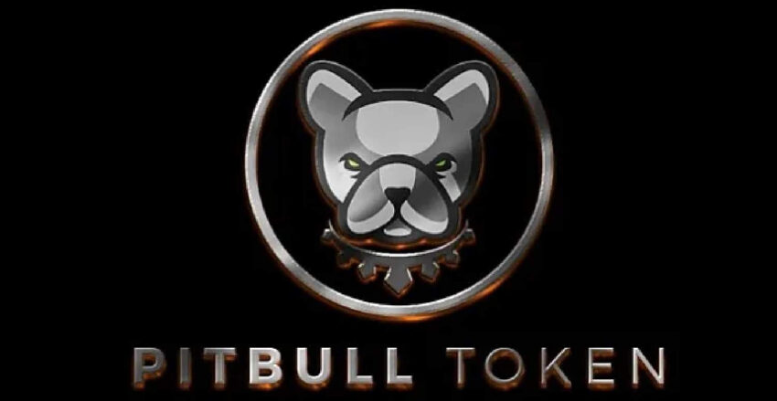 pitbull token nedir