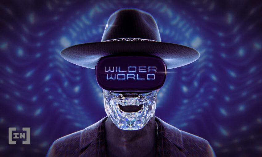 metaverse coin wilder world nedir