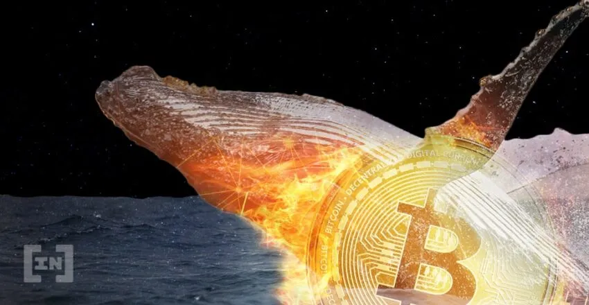 en çok bitcoin kimde