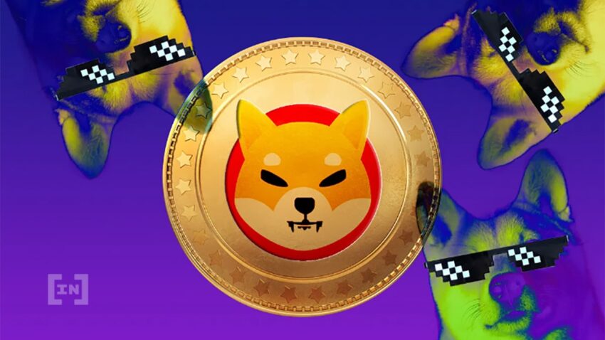SHIB coin