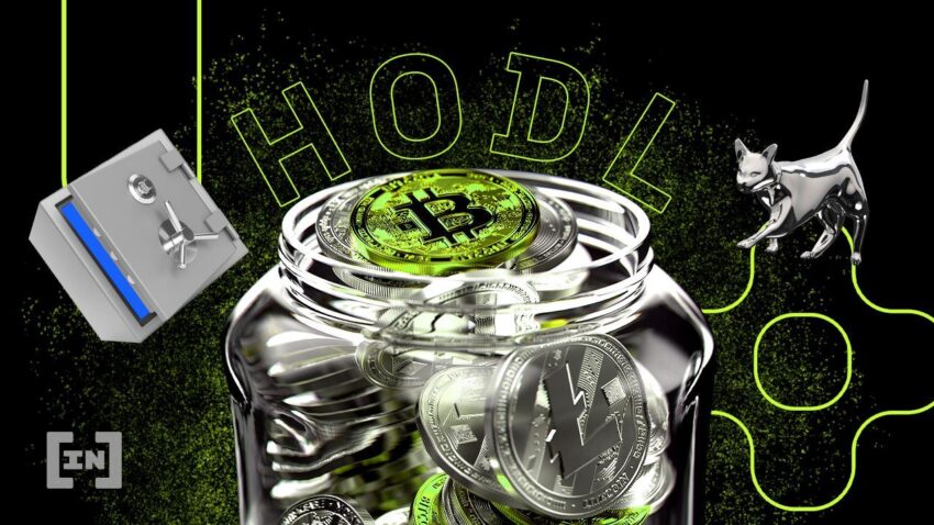 hodl ne demek