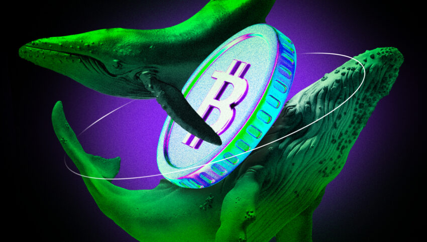 Bitcoin balinaları