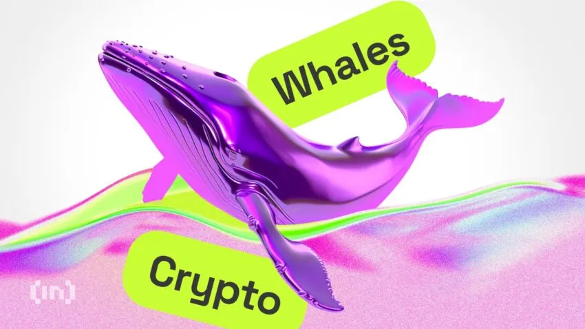 Kripto Para Balinası Nedir? Bitcoin Balina Takip Siteleri: Eylül 2024