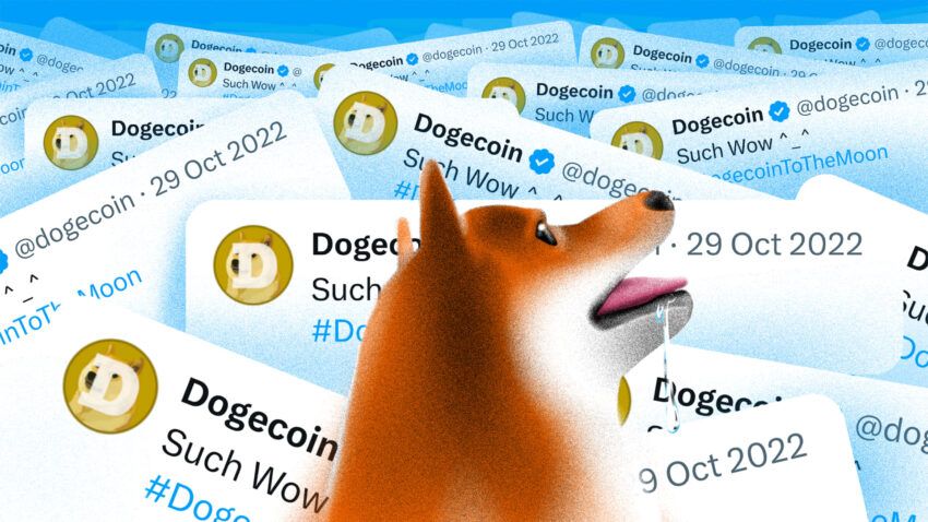 Elon Musk’ın “D.O.G.E” Tweet’i Sonrası Dogecoin (DOGE) Fiyatı %90 Artış Potansiyeli Taşıyor