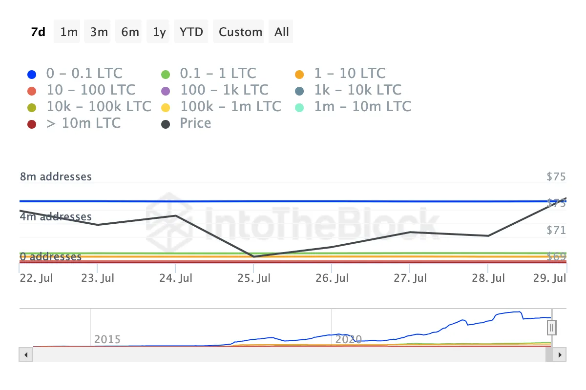 Litecoin Addresses by Holdings