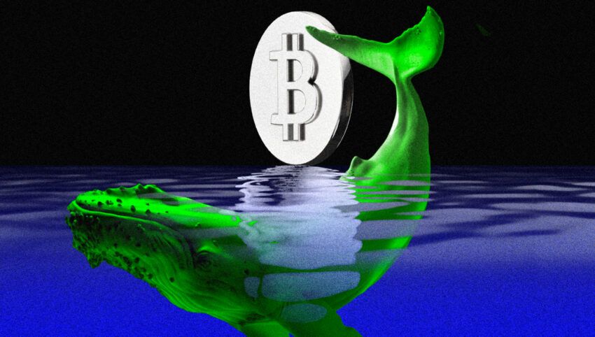 Bitcoin Fiyatı, James Wynn’in Uzun Pozisyonları Yüzünden mi Düşüyor?