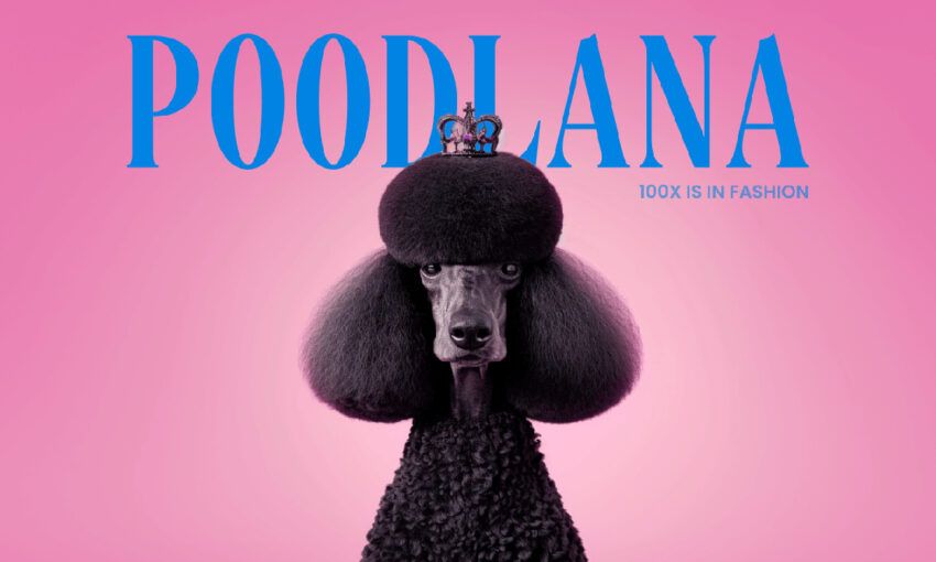 Poodles: Yeni Bir Meme Coin Maskotu – Poodlana Listelenmesi için Son Gün