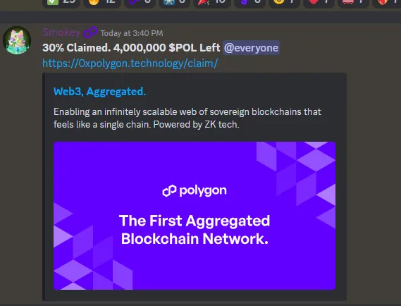 Sahte POL Talep Teklifi, Polygon Discord'da.