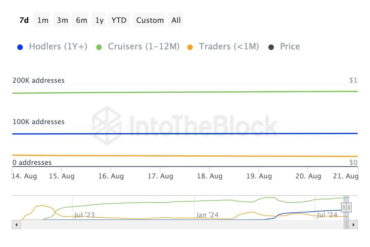 pepe coin fiyat tahmini ve zamana dayalı adres sayısı