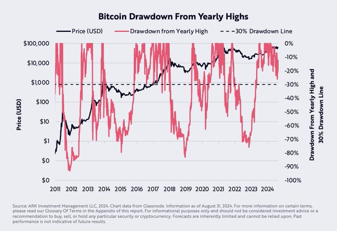 Bitcoin (BTC) Fiyat Hedefi ve Tarihsel Düşüşler