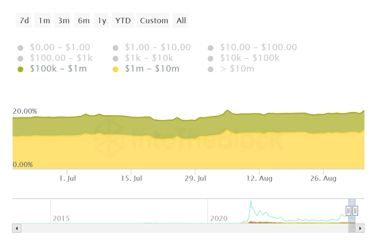 Dogecoin Whale Holdings.