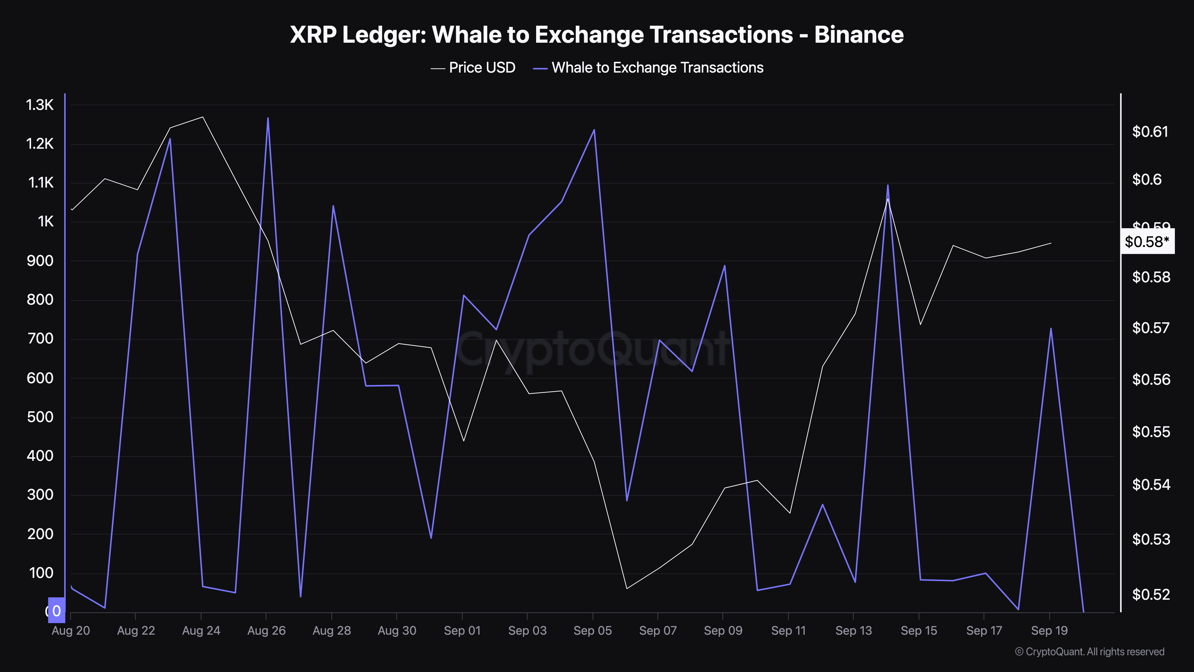 Ripple XRP Balina'dan Borsaya İşlemler.