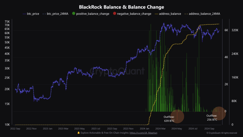 Blackrock Bakiye Değişimi.