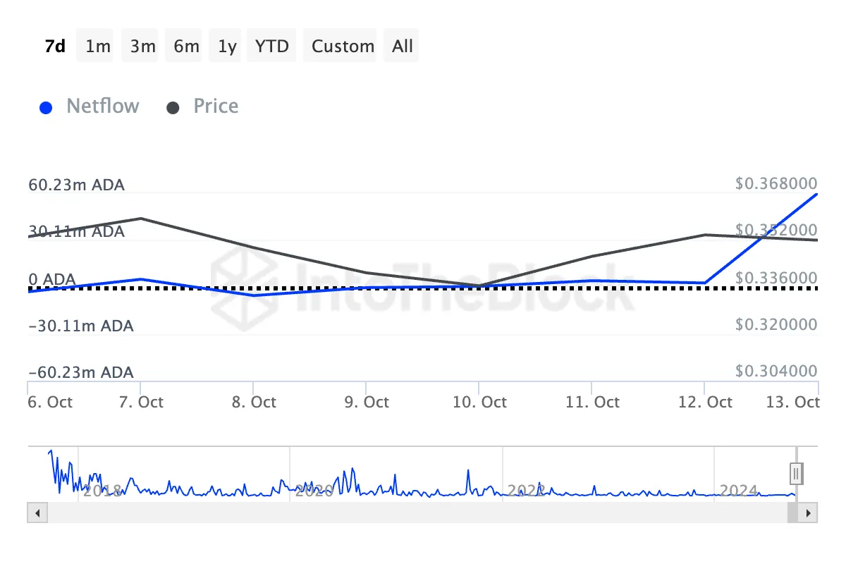 Cardano Büyük Sahipler Net Akışı