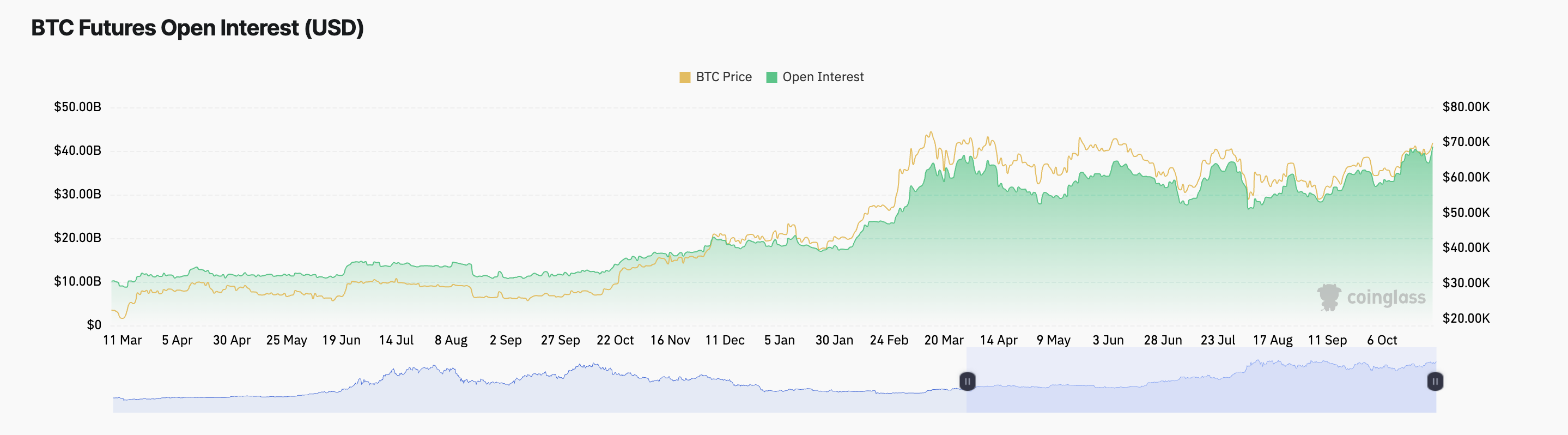 Bitcoin Açık Pozisyonlar