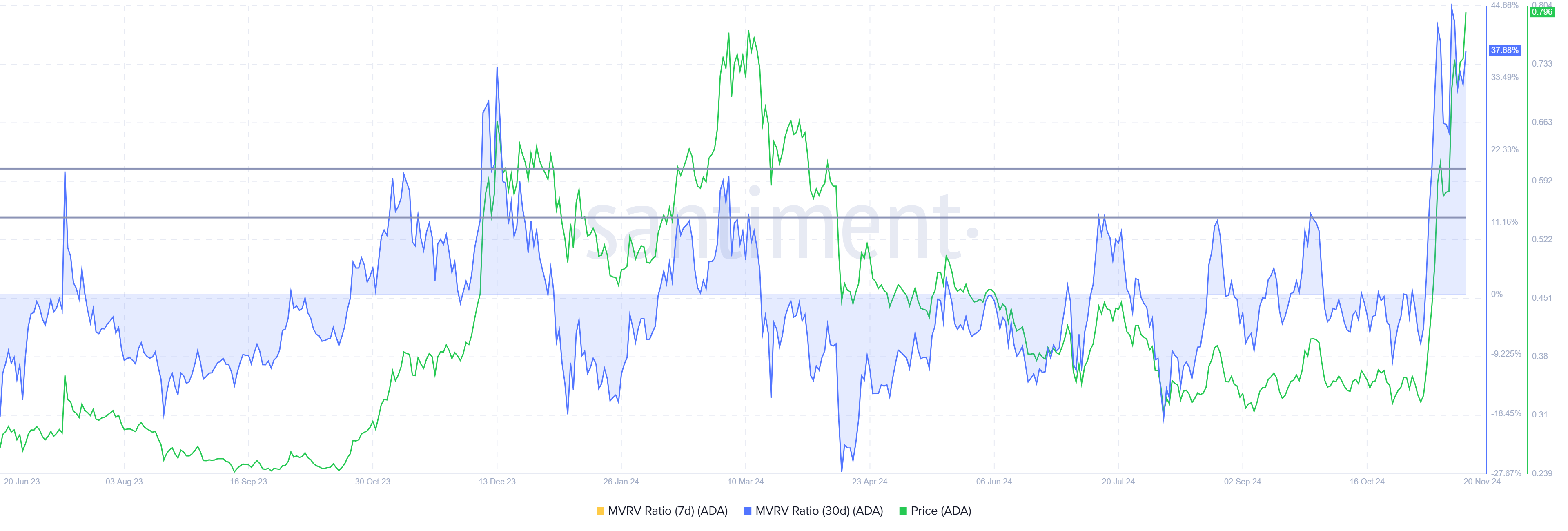 Cardano MVRV Oranı.
