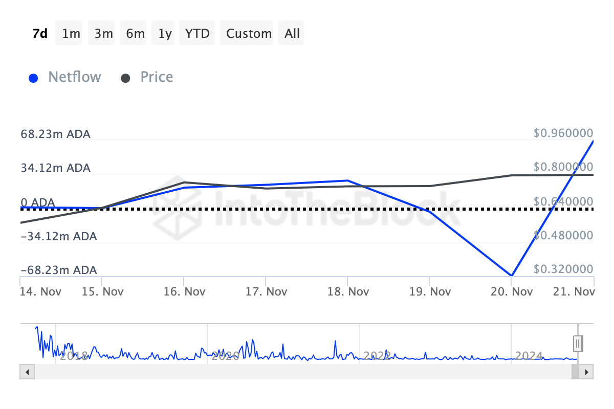 Cardano kripto balinaları birikimi