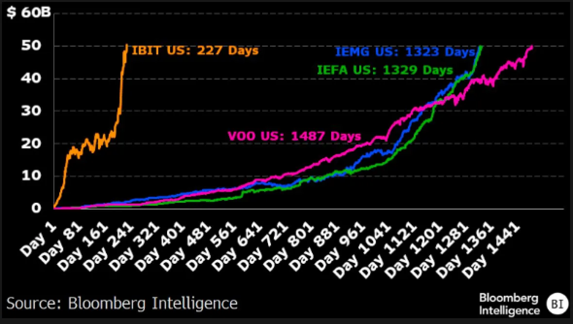 BlackRock Bitcoin ETF Performansı