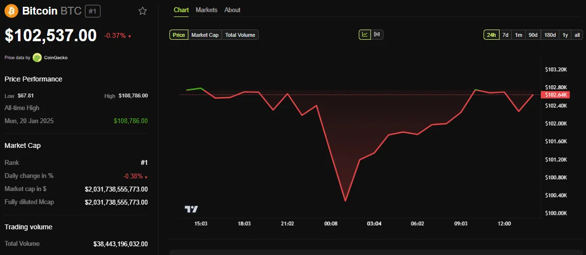 BTC Fiyat Performansı