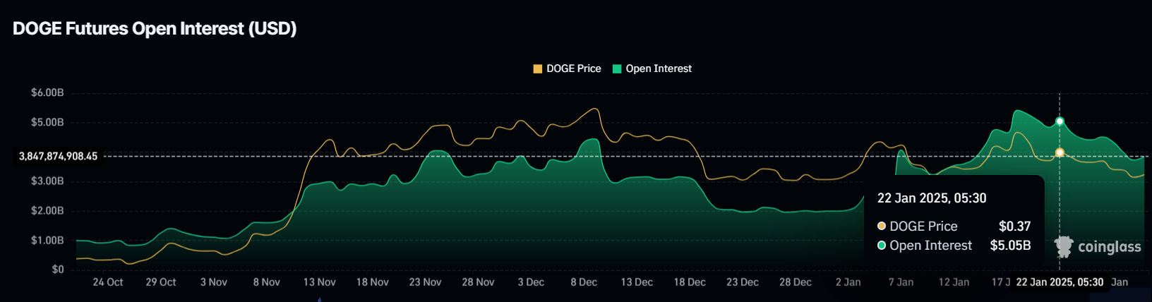 Dogecoin Açık Pozisyonlar.