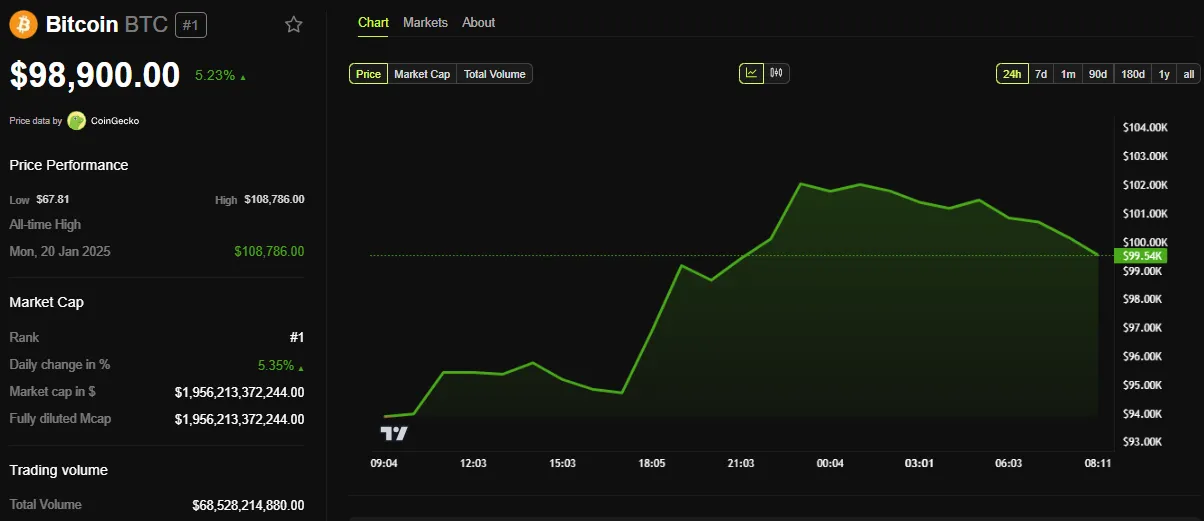 BTC Fiyat Performansı