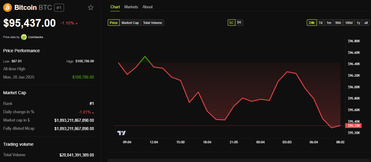 BTC Fiyat Performansı