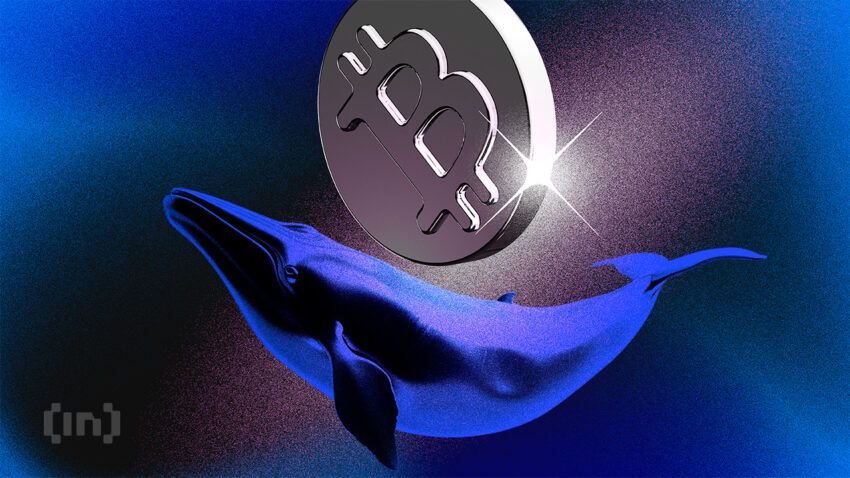 2016’dan Beri Uyuyan Bitcoin Balina Cüzdanı 3.000 BTC Taşıdı